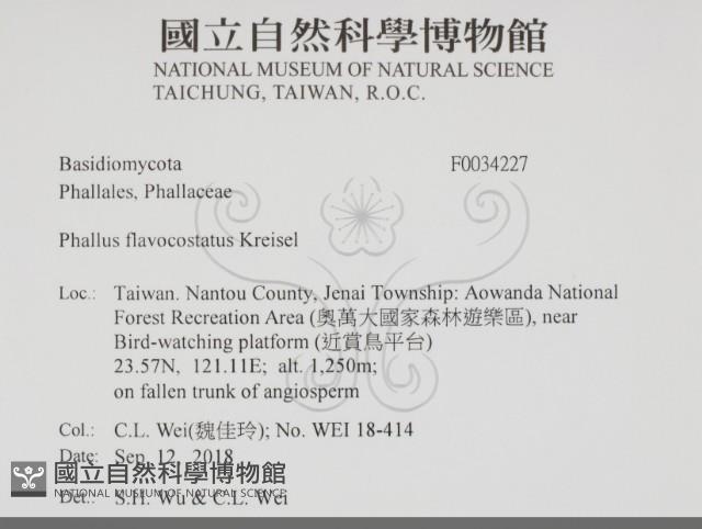 登錄號:F0034227藏品圖，第2張