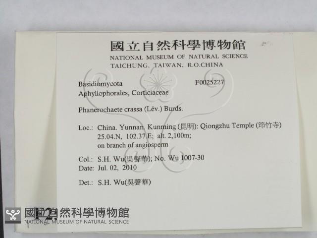 登錄號:F0025227藏品圖，第2張