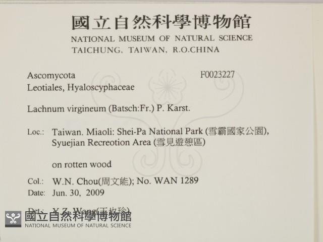 登錄號:F0023227藏品圖，第2張