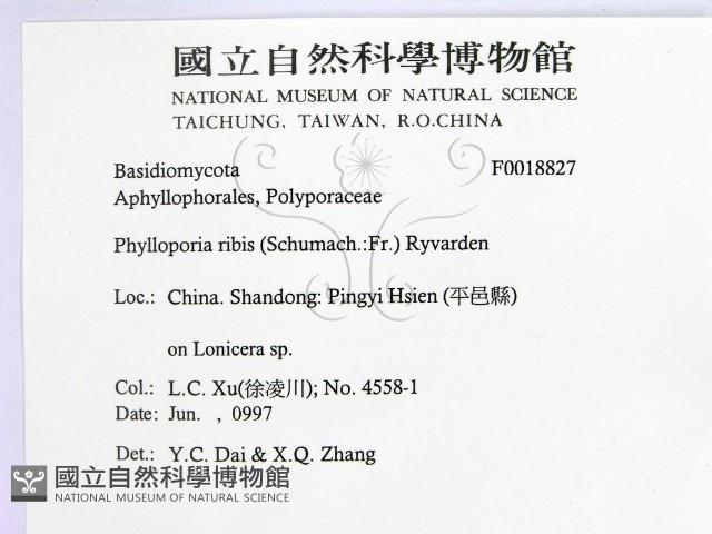登錄號:F0018827藏品圖，第2張