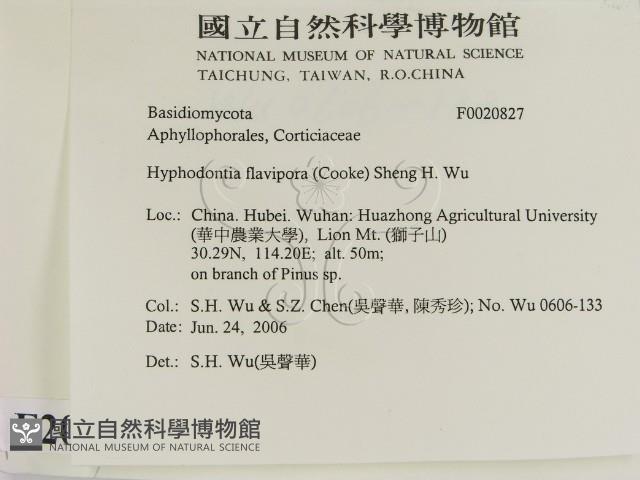 登錄號:F0020827藏品圖，第2張