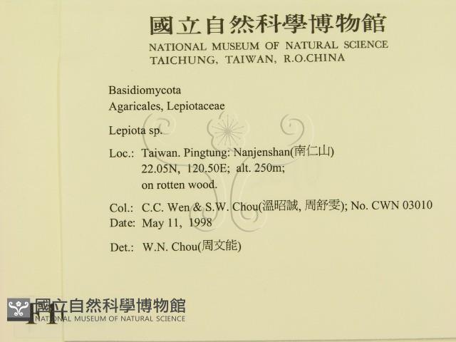 登錄號:F0010827藏品圖，第2張