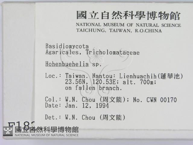 登錄號:F0001827藏品圖，第2張