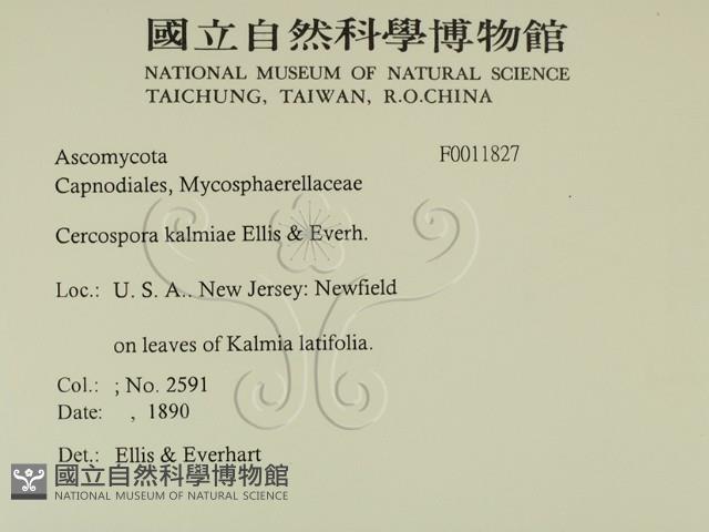 登錄號:F0011827藏品圖，第2張