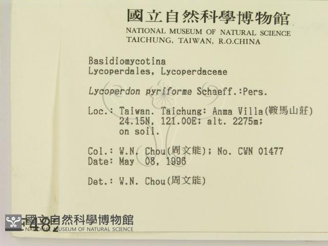 登錄號:F0004827藏品圖，第2張