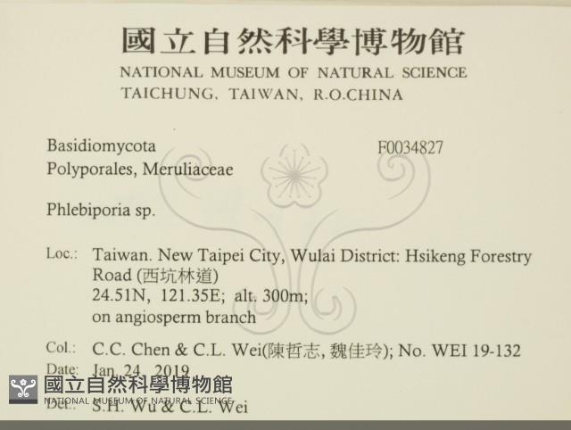 登錄號:F0034827藏品圖，第2張