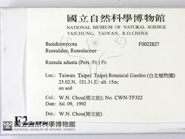 登錄號:F0022827藏品圖，第2張