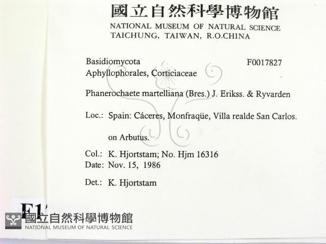 登錄號:F0017827藏品圖，第2張