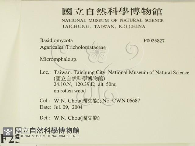 登錄號:F0025827藏品圖，第2張
