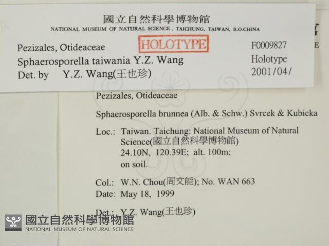 登錄號:F0009827藏品圖，第2張