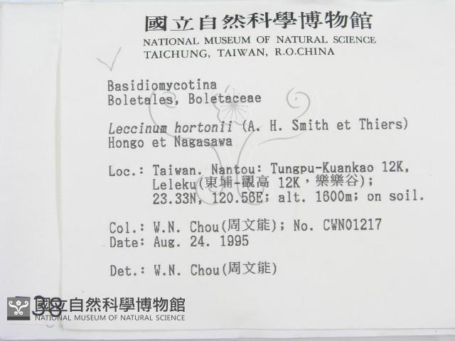 登錄號:F0003827藏品圖，第2張