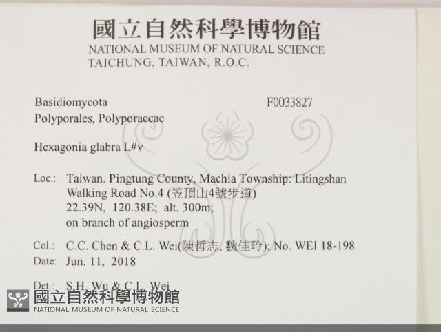 登錄號:F0033827藏品圖，第2張