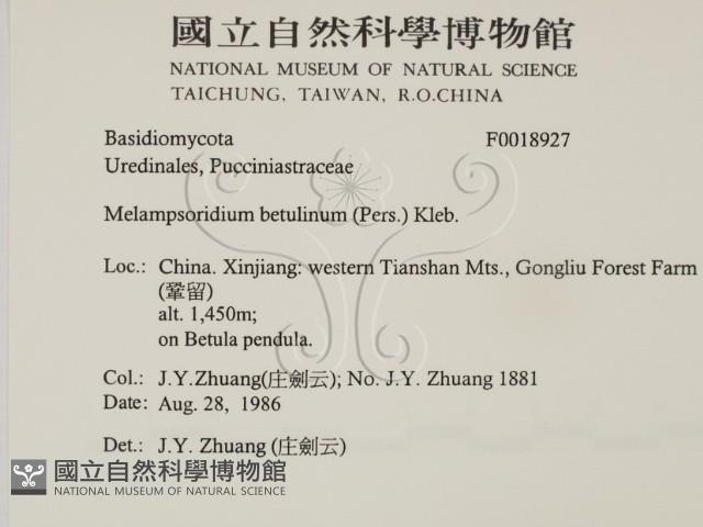 登錄號:F0018927藏品圖，第2張