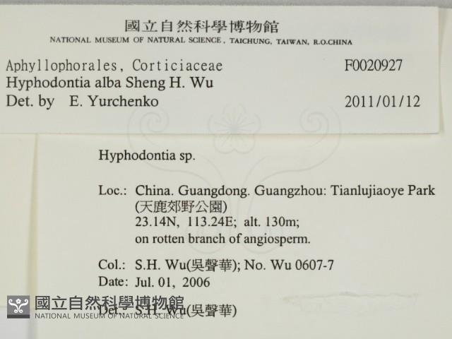 登錄號:F0020927藏品圖，第2張