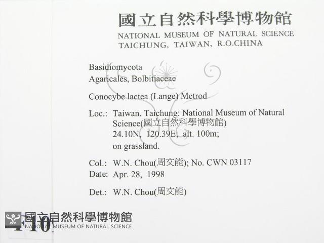 登錄號:F0010927藏品圖，第2張