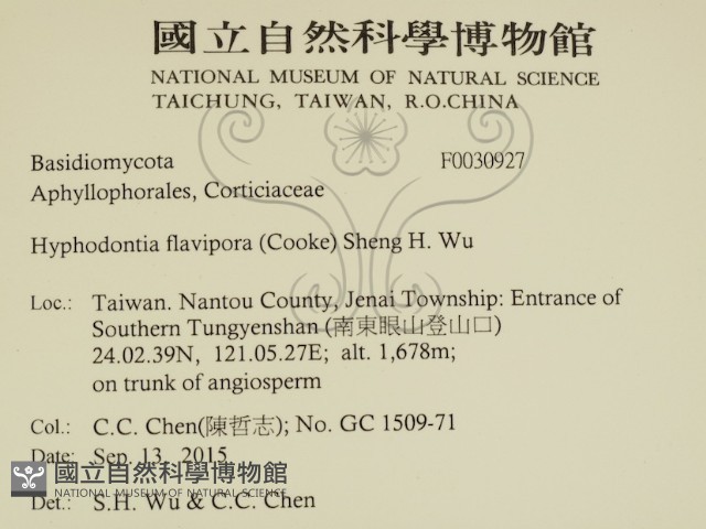 登錄號:F0030927藏品圖，第2張