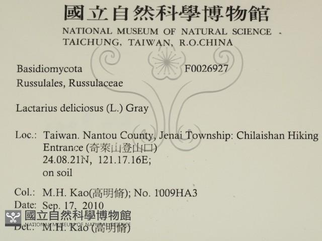 登錄號:F0026927藏品圖，第2張