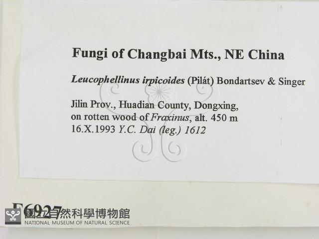 登錄號:F0006927藏品圖，第2張