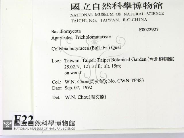登錄號:F0022927藏品圖，第2張