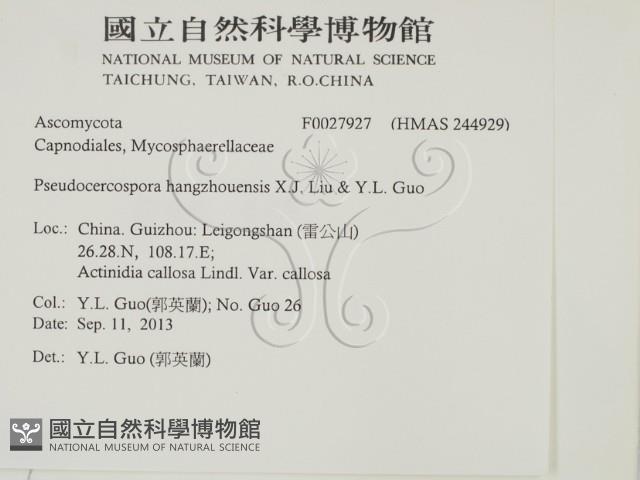 登錄號:F0027927藏品圖，第2張