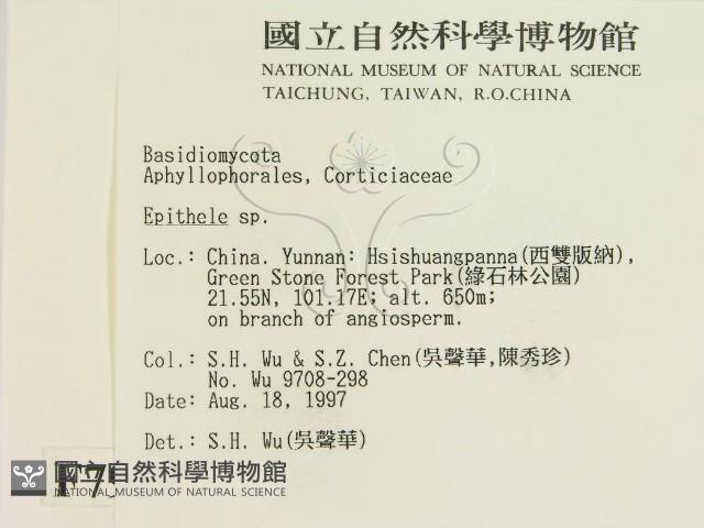 登錄號:F0007927藏品圖，第2張