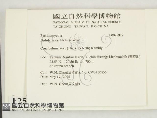 登錄號:F0025927藏品圖，第2張