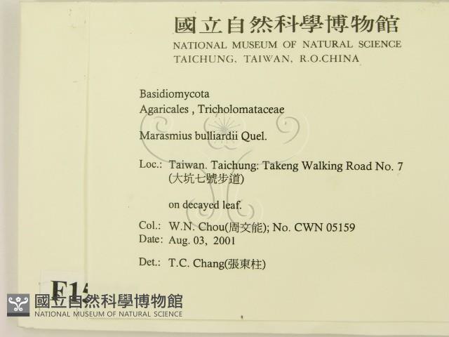 登錄號:F0015927藏品圖，第2張