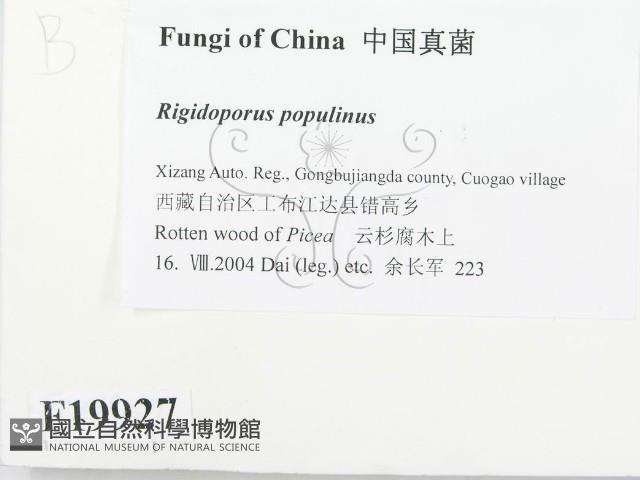 登錄號:F0019927藏品圖，第2張