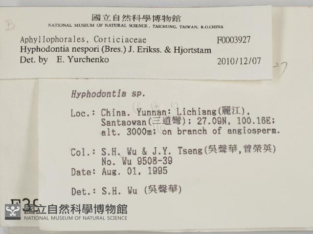 登錄號:F0003927藏品圖，第2張