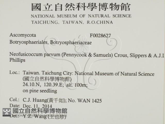 登錄號:F0028627藏品圖，第2張