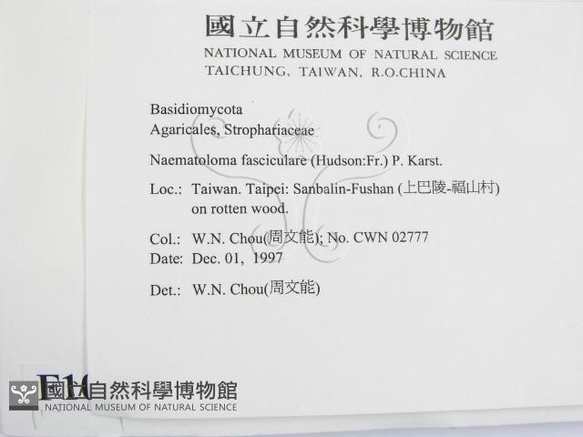 登錄號:F0010627藏品圖，第2張