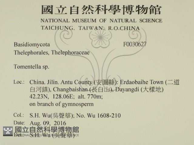 登錄號:F0030627藏品圖，第2張