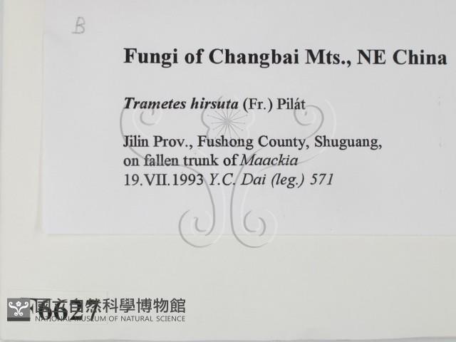 登錄號:F0006627藏品圖，第2張