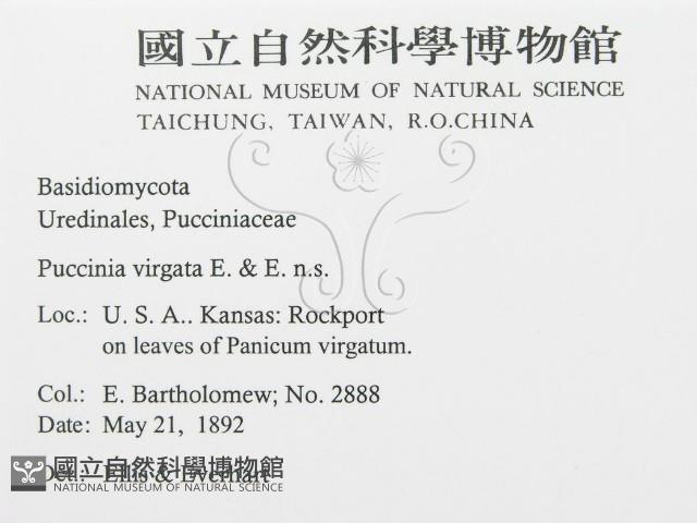 登錄號:F0011627藏品圖，第2張
