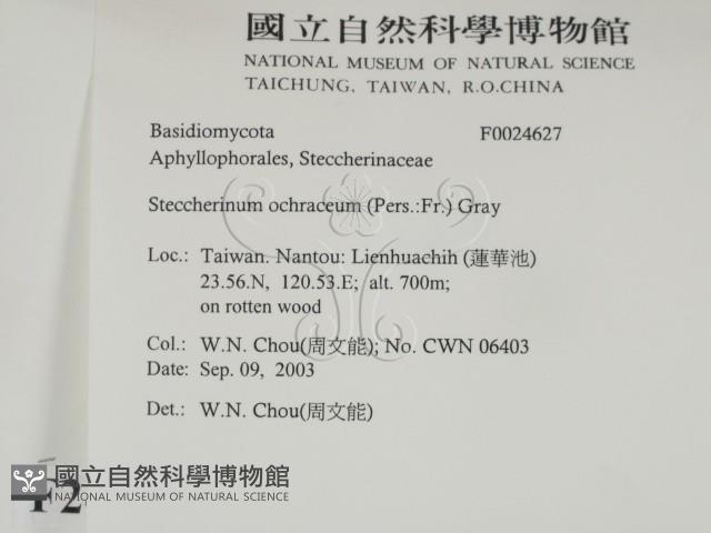 登錄號:F0024627藏品圖，第2張