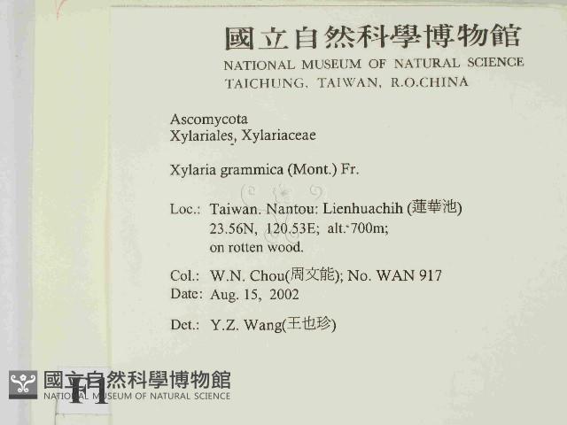登錄號:F0014627藏品圖，第2張