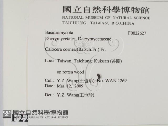 登錄號:F0022627藏品圖，第2張
