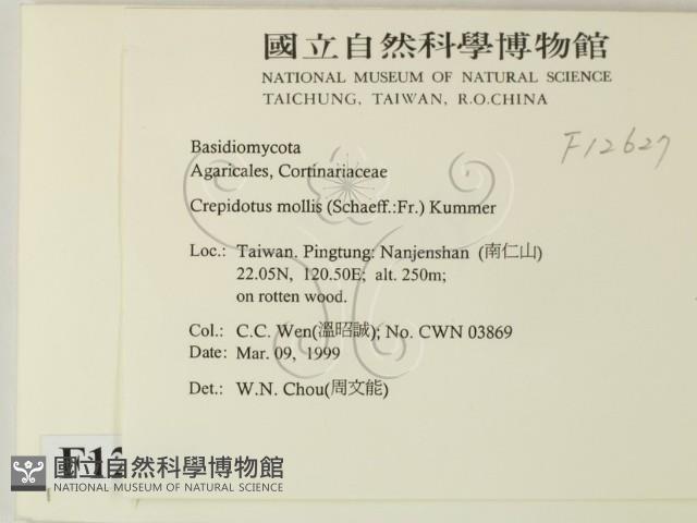 登錄號:F0012627藏品圖，第2張