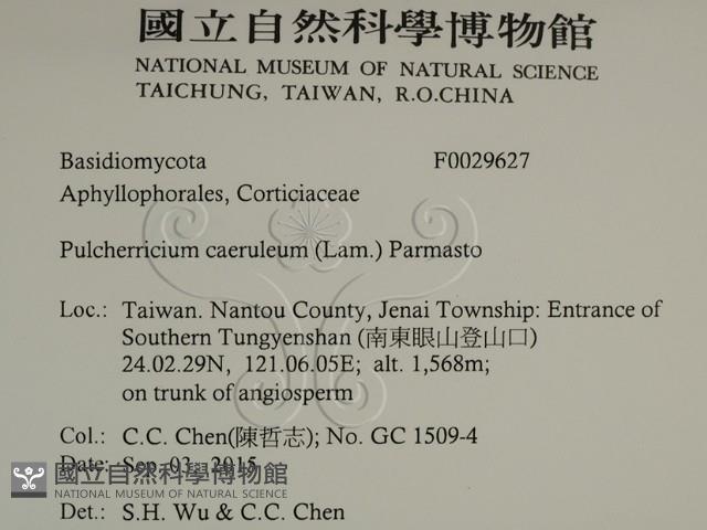 登錄號:F0029627藏品圖，第2張