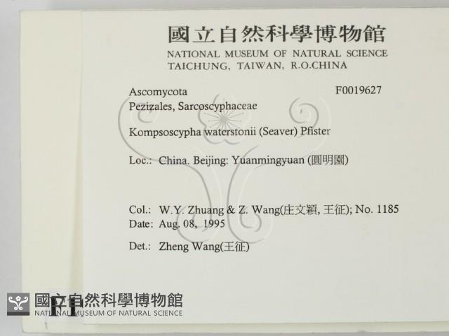 登錄號:F0019627藏品圖，第2張