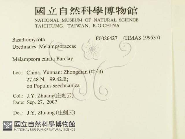 登錄號:F0026427藏品圖，第2張