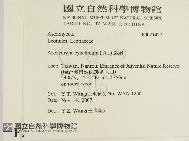 登錄號:F0021427藏品圖，第2張