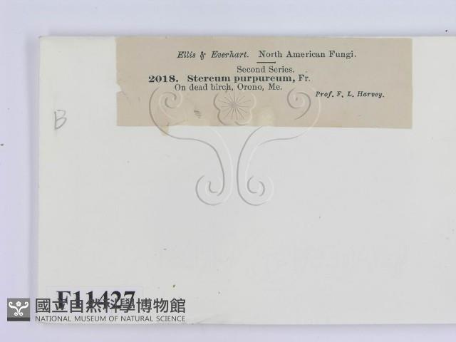 登錄號:F0011427藏品圖，第2張