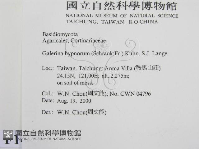 登錄號:F0014427藏品圖，第2張