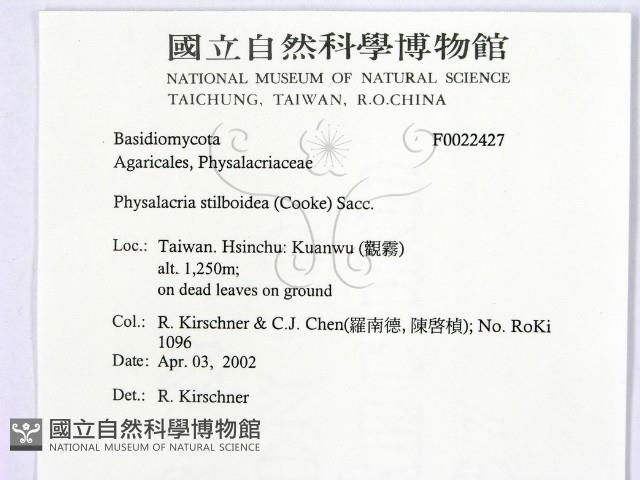 登錄號:F0022427藏品圖，第2張