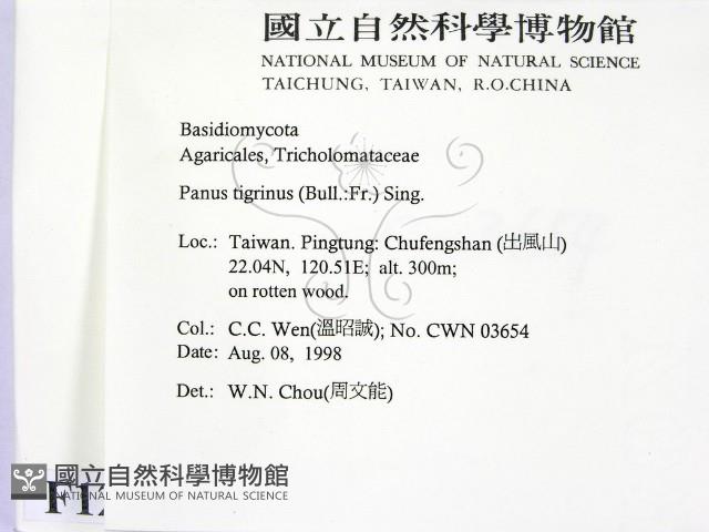 登錄號:F0012427藏品圖，第2張