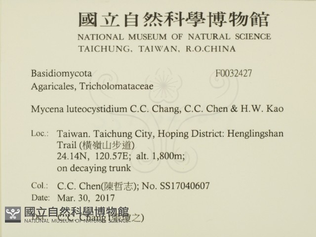 登錄號:F0032427藏品圖，第2張