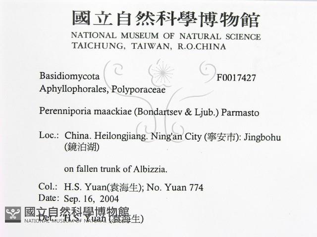 登錄號:F0017427藏品圖，第2張