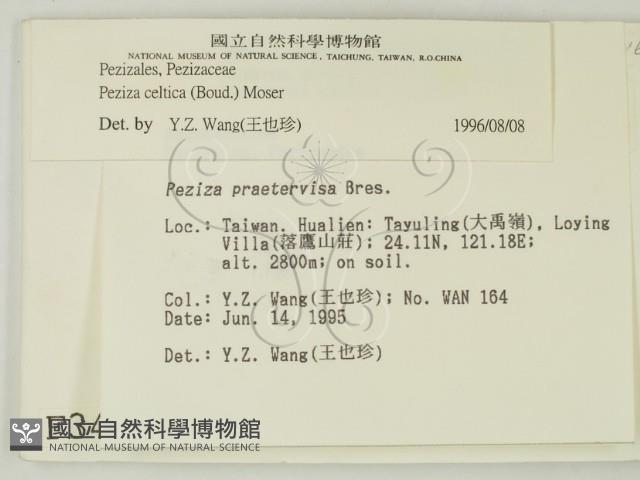 Accession Number:F0003427 Collection Image, Figure 2, Total 3 Figures