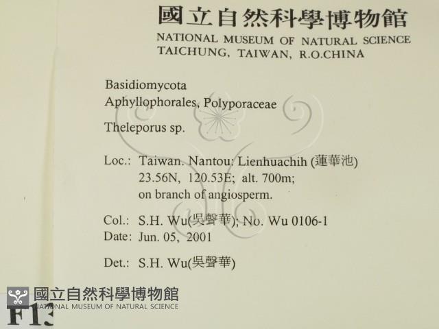 登錄號:F0013427藏品圖，第2張